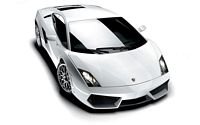 pic for Lamborghini Gallardo LP560 
